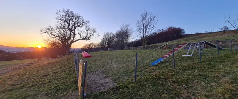 Trainingsgelände von Dog Harmony bei Sonnenuntergang mit Hindernissen im eingezäunten Gelände